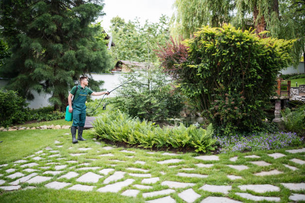 Best Pest Control Near Me  in Jefferson Valley Yorktown, NY