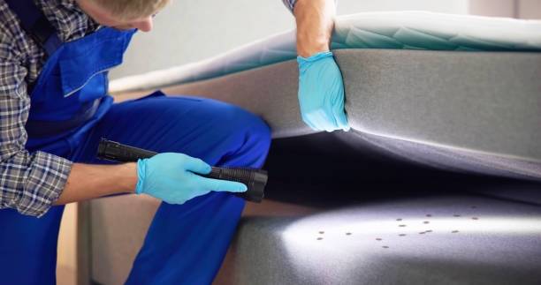 Pest Control Cost in Jefferson Valley Yorktown, NY