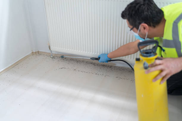 Best Local Pest Control Services  in Jefferson Valley Yorktown, NY