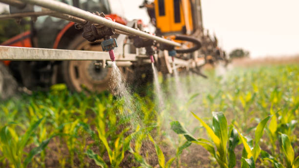 Reliable Jefferson Valley Yorktown, NY Pest Control Solutions